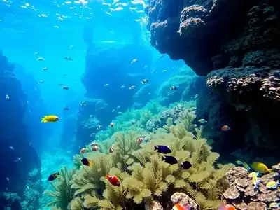 Underwater scene in the Mediterranean with colorful fish.