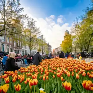 Families and couples enjoying seasonal activities in Amsterdam with tulips in the foreground.