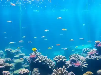 Underwater view of marine life in Atlantic Sea Park.