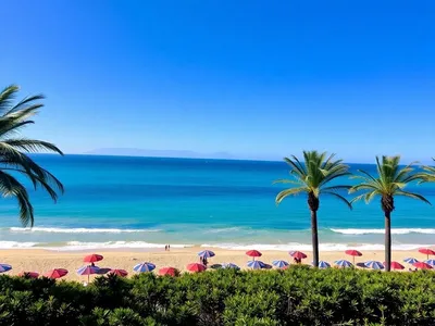  Beautiful beach with palm trees in Las Palmas.